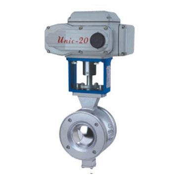 �Լ�V����